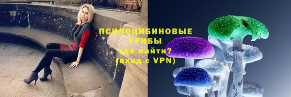гашик Абинск