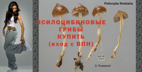 соль курить ск Абаза