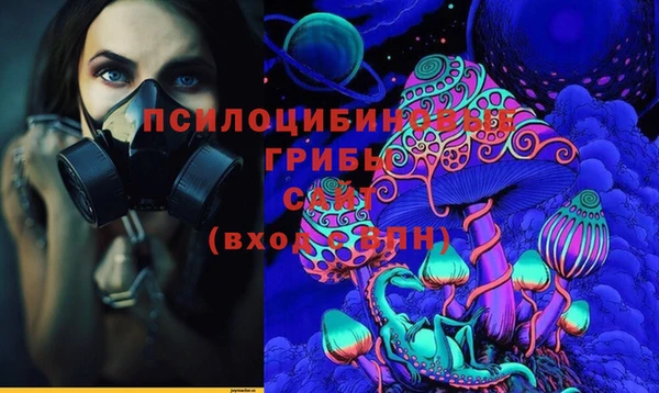 гашик Абинск