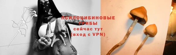 гашик Абинск